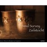 Zielstocht Soul Survey