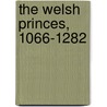 The Welsh Princes, 1066-1282 door Roger Turvey