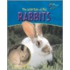 The Wild Side of Pet Rabbits