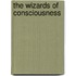 The Wizards Of Consciousness