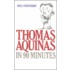 Thomas Aquinas in 90 Minutes