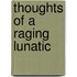 Thoughts Of A Raging Lunatic