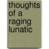 Thoughts Of A Raging Lunatic