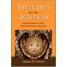 Three Eyes For The Journey P by Dianne M. Stewart