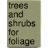 Trees And Shrubs For Foliage