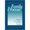 Understanding Family Process by Carlfred Bartholomew Broderick