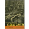 Understanding Global Slavery door Kevin Bales