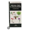 Virginia Trees & Wildflowers by James Kavanaugh