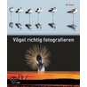 Vögel richtig fotografieren door Bill Coster