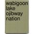 Wabigoon Lake Ojibway Nation