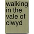 Walking In The Vale Of Clwyd