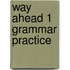Way Ahead 1 Grammar Practice