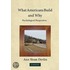 What Americans Build And Why