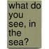 What Do You See, in the Sea?