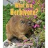 What Is A Herbivore? Cd & Tp
