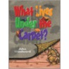 What Lives Under The Carpet? door John Woodward