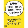 What The Hell Are You Doing? by David Shrigley