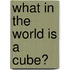 What in the World Is a Cube?