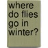Where Do Flies Go In Winter?