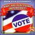 Why Are Elections Important?