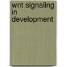 Wnt Signaling in Development by Michael Kuumlhl