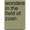Wonders In The Field Of Zoan door Charles S. Robinson