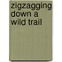 Zigzagging Down A Wild Trail
