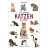 111 Gründe, Katzen zu lieben door Hauke Brost