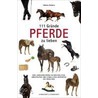 111 Gründe, Pferde zu lieben door Sabine Anders