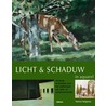 Licht en schaduw in aquarel
