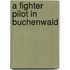 A Fighter Pilot in Buchenwald