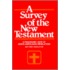 A Survey Of The New Testament