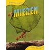 Mieren