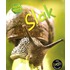 Slak