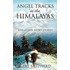 Angel Tracks In The Himalayas