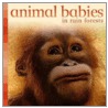 Animal Babies in Rain Forests door Onbekend