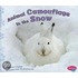 Animal Camouflage in the Snow