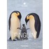 Pingun