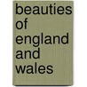 Beauties of England and Wales by Thomas Rees