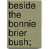 Beside The Bonnie Brier Bush;