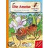 Besserwisser Plus. Die Ameise