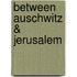 Between Auschwitz & Jerusalem
