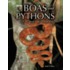 Boas and Pythons of the World