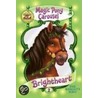 Brightheart the Knight's Pony door Poppy Shire