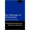 Challenges Of Privatization C door Domenico Siniscalco