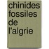 Chinides Fossiles de L'Algrie