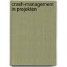Crash-Management In Projekten door Manfred Noa(c)
