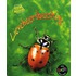 Lieveheersbeestje