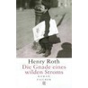 Die Gnade eines wilden Stroms door Henry Roth