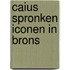 Caius Spronken iconen in brons